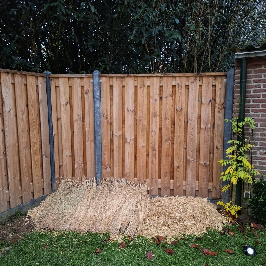 Een schutting met daarvoor hopen stro op de grond in de hoek van een tuin.