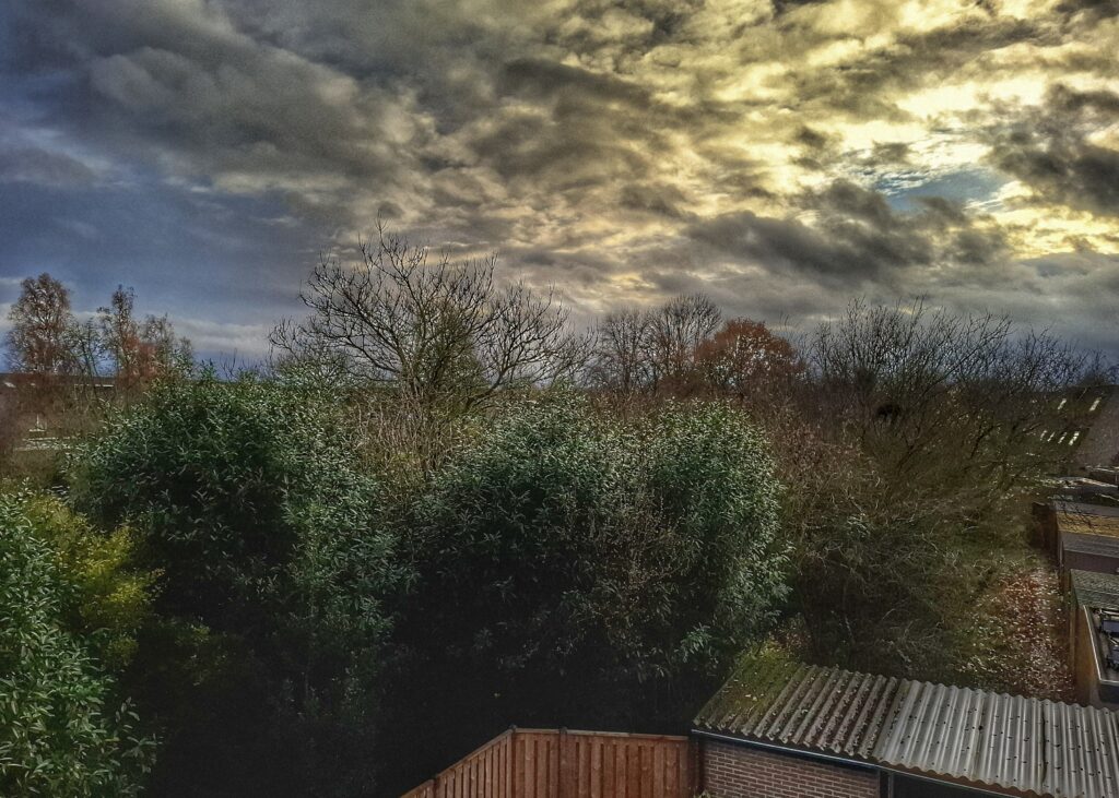 Donkere wolken met de zon erachter boven bomen achter een achtertuin.